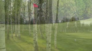 Гольф-клуб Pine Creek Екатеринбург