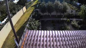 Шатун в СНТ Яблонька