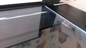 Epson L 200 the problem is in the scanner !!!