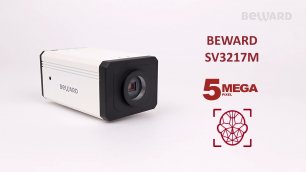Обзор 5 Мп IP-камеры BEWARD SV3217M: детекция лиц, автофокус, сменные объективы CS, Sony Starvis