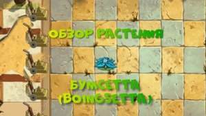 Обзор БумСетта (Boingsetta), растение из Plants vs Zombies 2