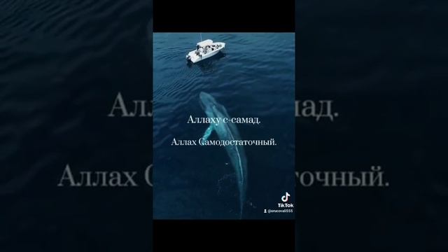 УСПОКАИВАЮЩЕЕ СУРА АЛЬ-ИХЛАС смотреть онлайн