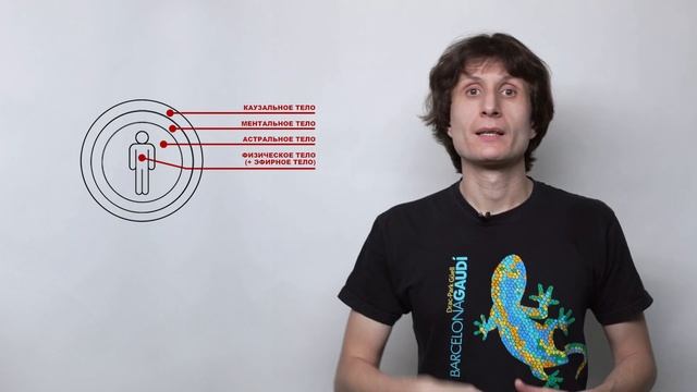Тонкое строение человека (7 тел), Матрица - функции, свойства, примеры.