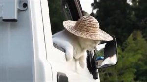 Уеду срочно я из этих мест...