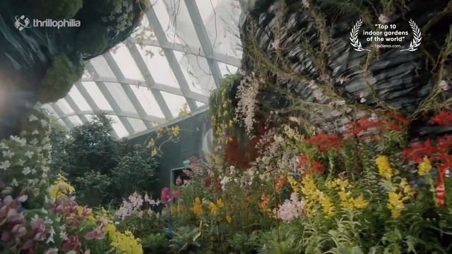 Gardens By The Bay - Most Beautiful Attraction of Singapore смотреть онлайн