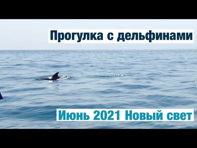 Прогулка к Дельфинам, на катере Охотник, Новый свет, Судак, Крым июнь 2021, Питер -Крым на машине