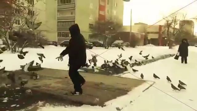 Вайн от Кулика: А я хочу опять, по плитам бегать голубей гонять (#ЕвгенийКулик) смотреть онлайн