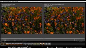 Lightroom Classic CC Enhanced Detail Before and After