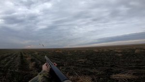 Охота с махокрылами на полосе ЁКЛМН Охота на уток 2020 осень Охота сухой ногой на поле Налеты 2020