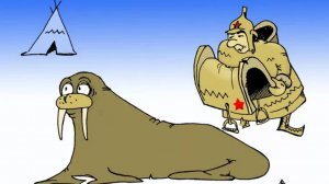 Канадский Морж смотрит мои ролики, но мало что в них понимает (тупой)