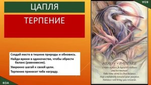 Карты Таро Spirits of the Animals Oracle by Jody Bergsma (Оракул духа животных) с русским переводом