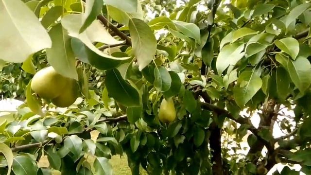 Давай мы с тобой сыграем в #прятки и я тебя искать не буду ... смотреть онлайн