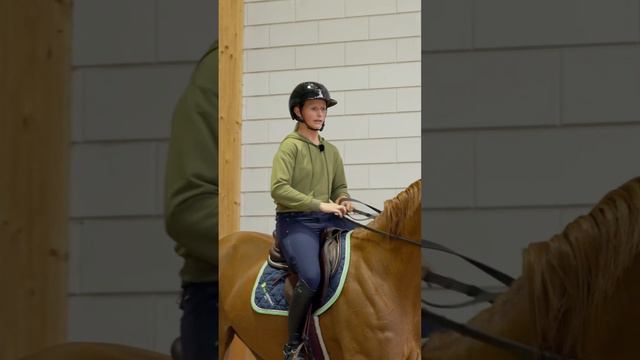 Speedy horse?! 🐎💨 #horseriding  #equestrian #horsetraining #showjumping #horse