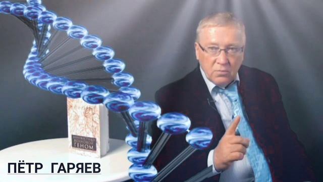 Гаряев п п суставы. Гаряев п п суставы