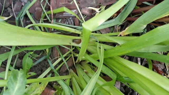 СЕКРЕТ РАСКРЫТ! Я ИХ НАШЛА ???ДАЧА В ГЕРМАНИИ! смотреть онлайн