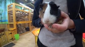 ШКОЛЬНИК УКРАЛ IPHONE 14 ПРЯМО ИЗ КАРМАНА ДЕВУШКИ. ПАЦАН ПРЕДАЛ РАУ ТВ И УКРАЛ ДЕНЬГИ У МИЛЛИОНЕРА