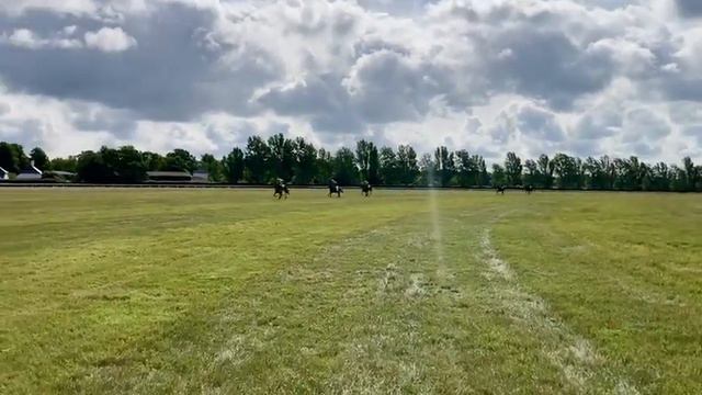 "Winston" Side Hill at Newmarket 10 June 2022 смотреть онлайн