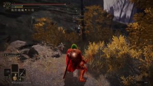 Вторжения на среднем уровне / Elden Ring Invasions