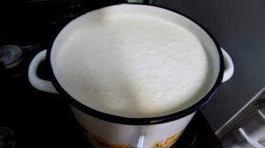 Приготовление домашнего творога из козьего молока.