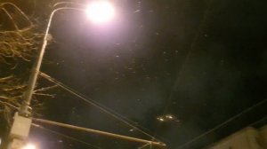 ПО СЛЕДАМ ЧЕМПИОНОВ||Андрей Старков||О работе в Daiwa,бизнесе по-русски,и японских девушках.