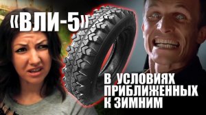 ВЛИ-5 в максимально приближенных к зимним условиях