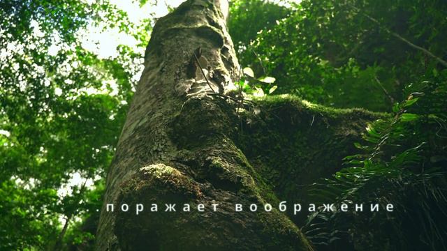 Стоит ли того Австралийский Гранд Каньон?