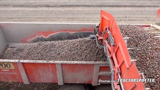 История о тюльпанах смотреть онлайн