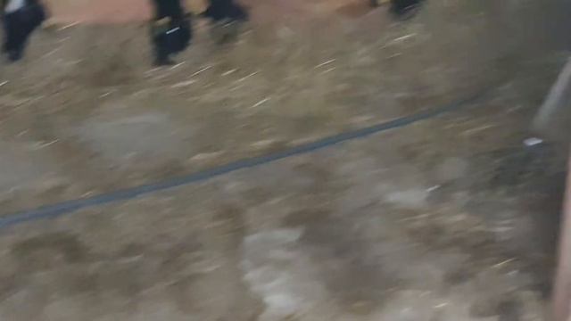 Первородка, отошли воды, схватки. часть 1