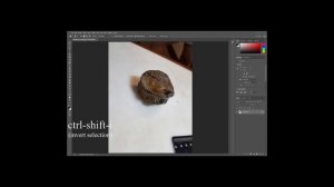 Background removal for photogrammetry using Photoshop 2020