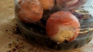 Как вырастить #лук в квартире? #Проращивание лука. Места мало, лука много. #Домоводство