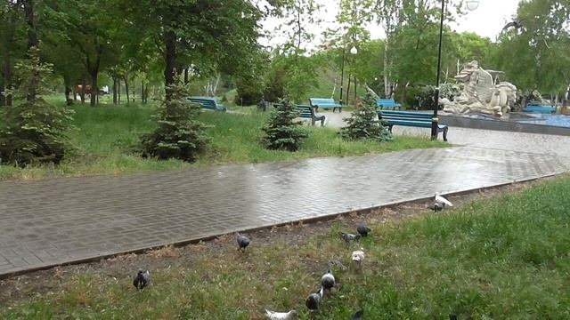 Мариуполь без прикрас.Влюбленные в Мариуполь. смотреть онлайн