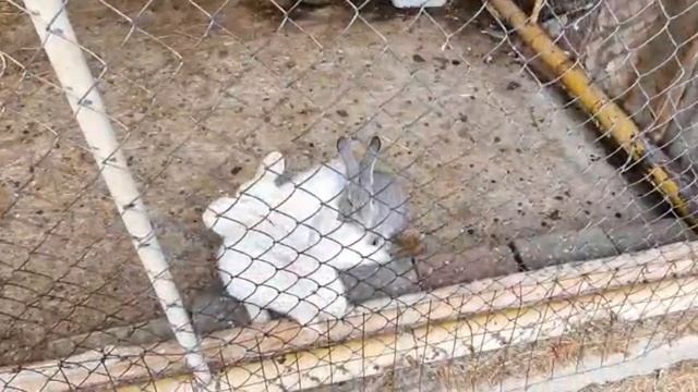 Ессентуки,Храмовый комплекс Петра и Павла,Христос Воскресший , сентябрь 2022 года смотреть онлайн