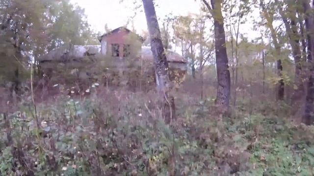 Усадьба купца Соловьева. Калужская область Зимницы