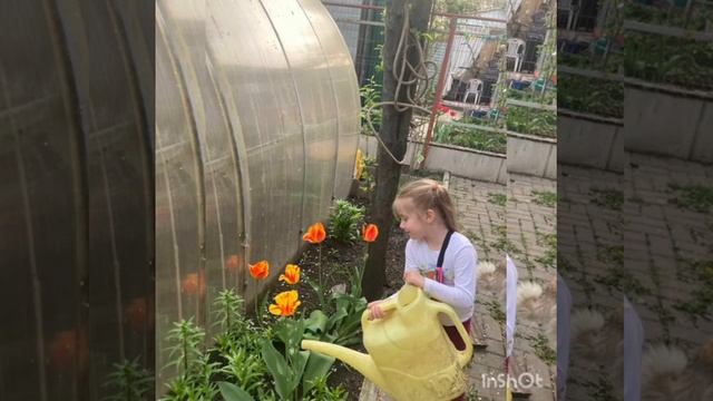 Праздник весны и труда! смотреть онлайн