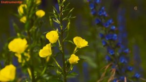 R.Aibylatov - Секунду вдвоем. Урал. Природа, города, достопримечательности. Съемки дроном.