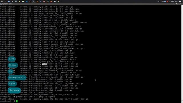 pveam скачать шаблоны с cli | Proxmox VE 6.3 смотреть онлайн