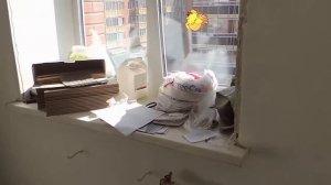 Чем недорого залить пол в квартире. Экономия в 2 раза.