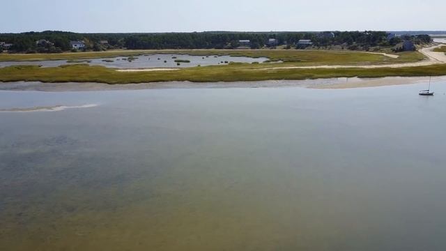 Сороки клевали и откапывали свежую могилу! Решив им помочь, люди побледнели, там лежало 20 младенце смотреть онлайн