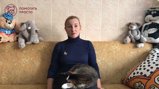 Фонд помощи бездомным животным «ЗООзащита» | Важные вопросы
