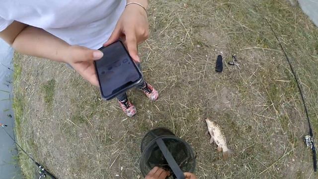 Первая рыбалка с женой.Ловля карпа на фидер . смотреть онлайн