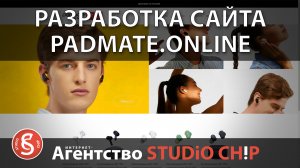 Создание и продвижение сайта под ключ для официального представителя в России компании Padmate.