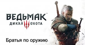 Ведьмак 3- Дикая Охота. Прохождение на PS4. Без комментариев(1)(14).mp4