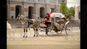 Красивые кареты для лошадей/Beautiful carriages for horses