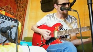 Блуждающий Лес - Обзор педали Saphue Analog Delay (14.06.22)