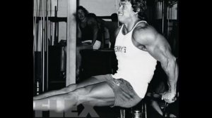 Old is Gold...Arnold Complete Workout Of Triceps...