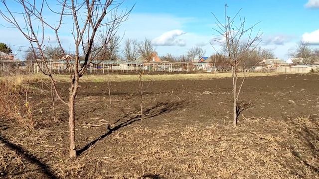 36?Зима на юге/Малиновое дерево/Жарим чебуреки смотреть онлайн