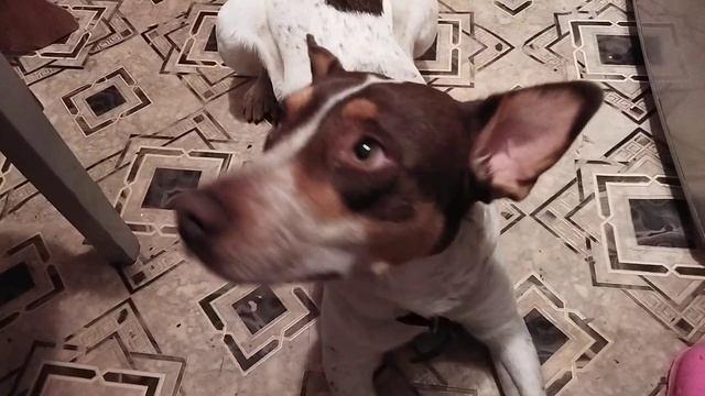 Прокисло молоко, снова готовлю смотреть онлайн