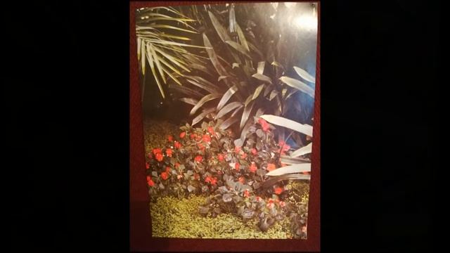 Выставка "Вся жизнь - день радости и счастья" смотреть онлайн