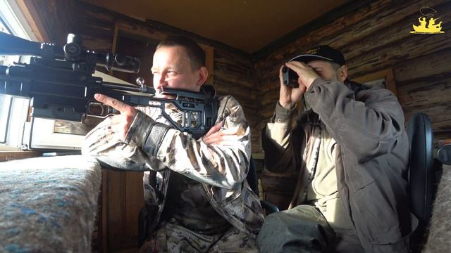 Охота на оленя и зайца! 300 и 430 метров соответственно! ORSIS T5000M