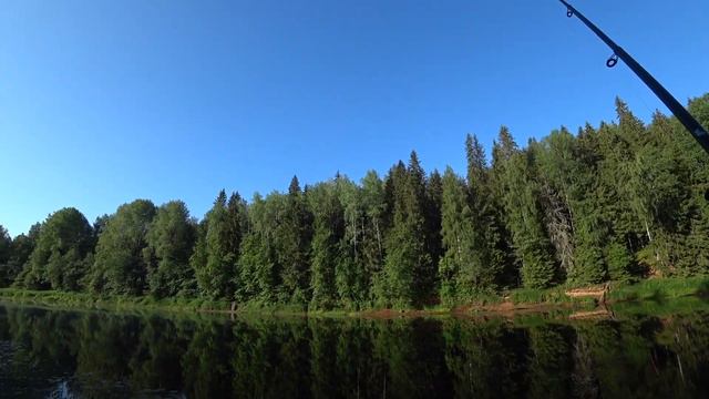 Три дня на рыбалке в разных местах. Поймал много подлещика и разной рыбы. смотреть онлайн